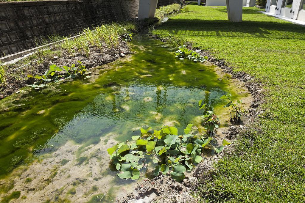 Hotel Gloria Manor Kenting Zewnętrze zdjęcie